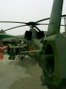 WZ-10 5.jpg