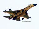 J-11D prototype - maiden flight 29_11_15 - clean.jpg