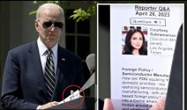 BIden cheat cards 1-horz.jpg