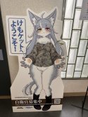 new-jsdf-mascot-v0-hb12fi1ggrya1.jpg