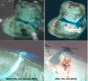 Manilatimes.1.UNCLOS2015060706.gif