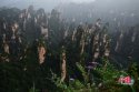 ~Wulingyuan.Zhangjiajie.1.jpg