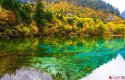 ~Jiuzhaigou.Valley.Sichuan.7.jpg