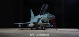 J-10CS model - HJL的陨落中年 - 3.jpg