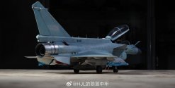 J-10CS model - HJL的陨落中年 - 2.jpg