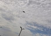 IMG_5169.jpeg