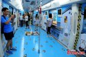 ~Miffy.subway.train.2.jpg ~Miffy.subway.train.2.jpg