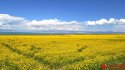 ~Tibetan.Plateau.4.jpg