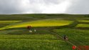 ~Tibetan.Plateau.8.jpg