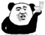 Toilet bowl panda.JPG