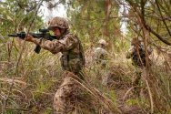 75th Army Group 'Iron Pioneer' 07.jpg