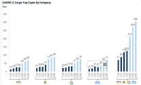 Large-cap Capex By Companies.png