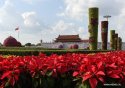 Beijing.VDay.Flowers.7.Tiananmen.Square.jpg