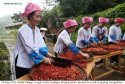 Guangxi.Zhuang.chili.festival.1.jpg