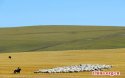 Inner.Mongolia.Hulunbuir.Grasslands.2.jpg
