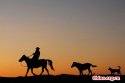 Inner.Mongolia.Hulunbuir.Grasslands.3.jpg