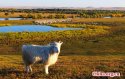 Inner.Mongolia.Hulunbuir.Grasslands.5.jpg