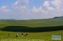 Inner.Mongolia.Ulla.Pasture.2.Xilengele.League.jpg