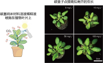 1741640262809.png
