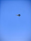 IMG_3950.jpeg