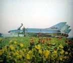 J-7I_PLAAF.jpg