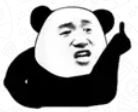 Panda with middle finger 2.JPG