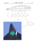 SDF01.jpg