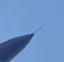 1000287574.jpg