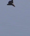 67299D2EC72796D8EA997C99ADA266A2_压缩.gif