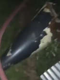 1746575860664.png