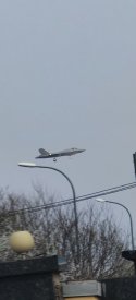 IMG_2248.jpeg