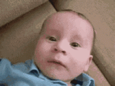 baby.gif