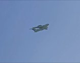 IMG_2317.jpeg