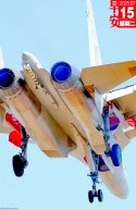 J-15T_WS-10H.jpg
