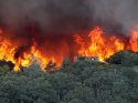 CA-Wildfire-19.jpg