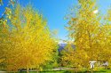 Xinjiang.Balikun.Hami.5.jpg