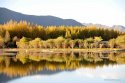 Dagze.county,Lhasa.River.Tibet.1.autumn.jpg