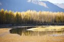 Dagze.county,Lhasa.River.Tibet.4.autumn.jpg