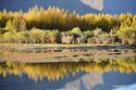 Dagze.county,Lhasa.River.Tibet.5.autumn.jpg