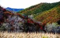 Laobiangou.scenic,Benxi,Liaoning.1.jpg