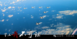 1754066740750.png