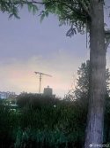 IMG_2461.jpeg