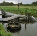 harrier.jpg