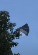 IMG_8631.jpeg