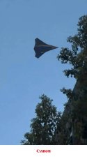 IMG_3462.jpeg