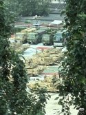 IMG_0750.jpeg