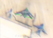 psedh20dimensionyanliang.png