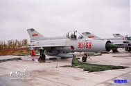 232308pks514iv4t88oqkq.jpg