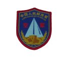 PLAAF_10th_div_alleged.jpg