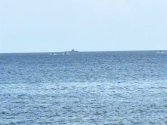 IMG_5936.jpeg